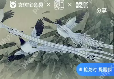 支付宝工笔大师付款码皮肤怎么获得