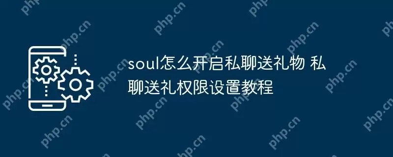 soul怎么开启私聊送礼物 私聊送礼权限设置教程