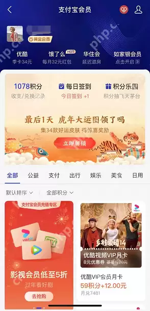 支付宝虎年行大运皮肤在哪领