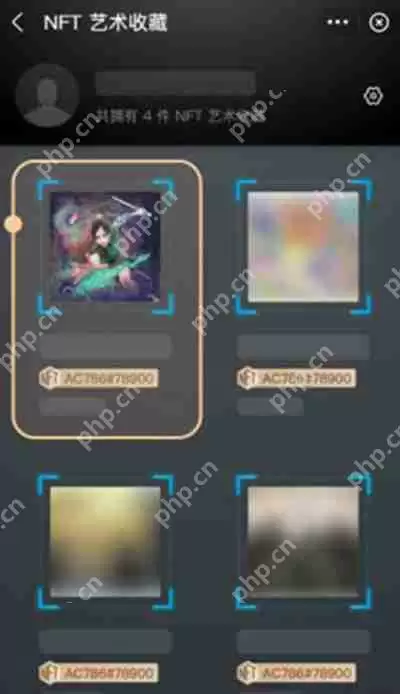 支付宝付款码皮肤的使用方法