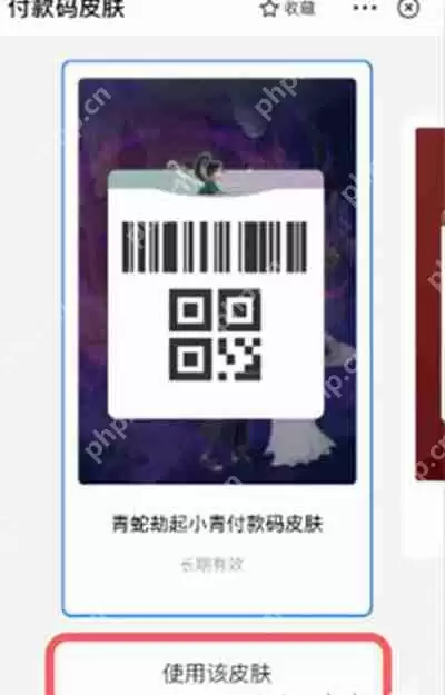 支付宝付款码皮肤的使用方法