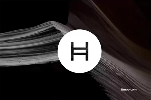 hbar币拥有一支专业的运营团队