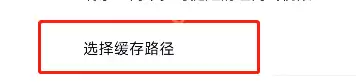 爱奇艺极速版怎么查看缓存路径?爱奇艺极速版查看缓存路径教程