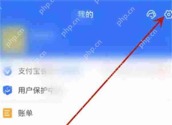 支付宝夜间保护功能怎么开启