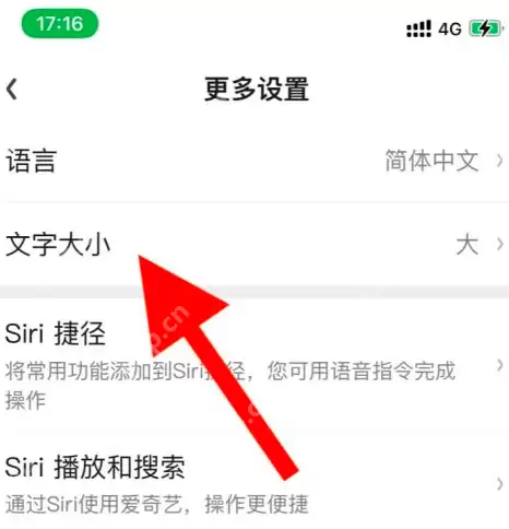 爱奇艺文字大小如何修改
