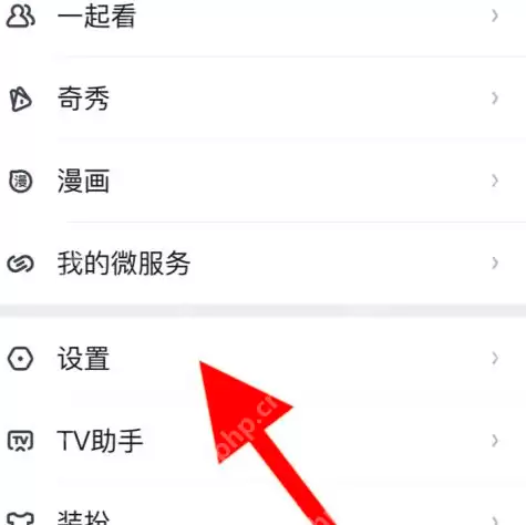 爱奇艺文字大小如何修改