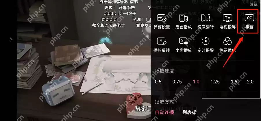 哔哩哔哩智能字幕怎么启动