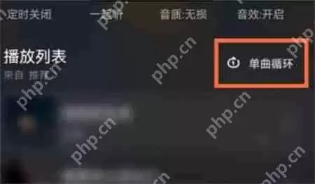 波点音乐如何设置单曲循环 单曲循环设置教程步骤