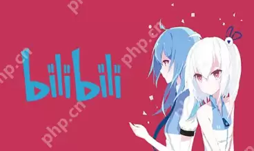 哔哩哔哩看视频模式怎么切换