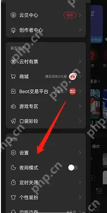 网易云音乐播客自动播放怎么关