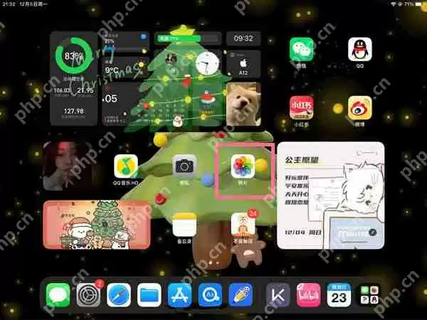 ipad相册近期删除图片在哪里