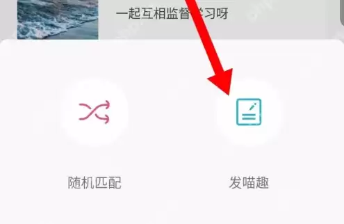 随喵app怎么发动态 随喵app发动态方法