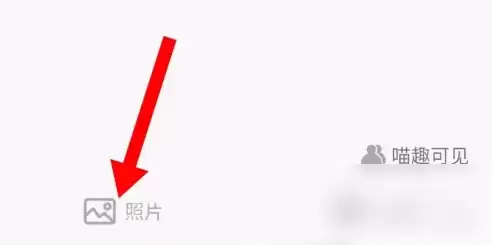 随喵app怎么发动态 随喵app发动态方法