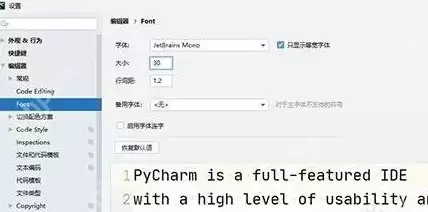 PyCharm怎么调整字号？PyCharm调整字号的方法