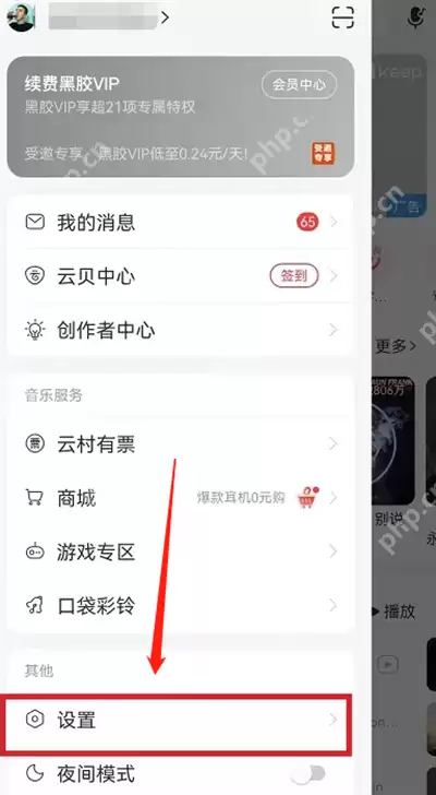 网易云音乐怎么关闭云村