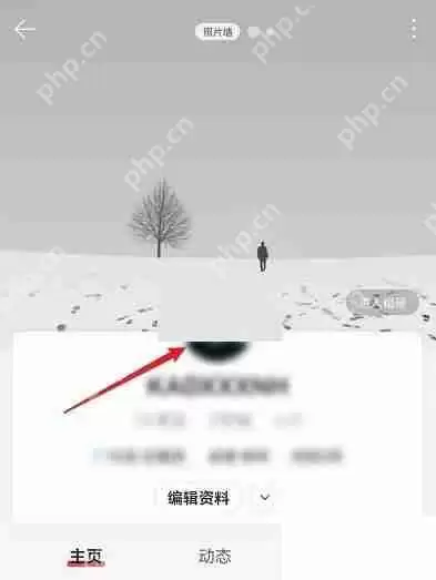 网易云音乐性格泡泡怎么关闭