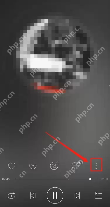 网易云音乐怎么开启沉浸声?网易云音乐开启沉浸声方法