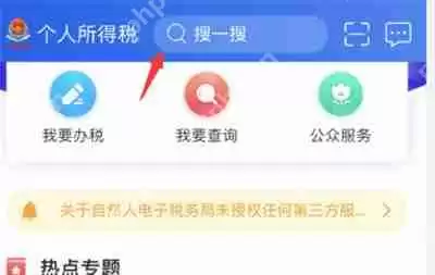 个人所得税纳税记录怎么开具