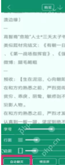 晋江文学城自动翻页怎么开启