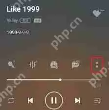 如何在QQ音乐开启臻品音质