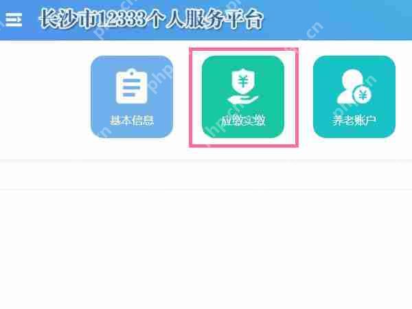 12333社保缴费记录怎么看