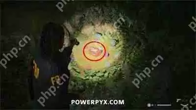 心灵杀手2回归2心脏午餐盒在哪