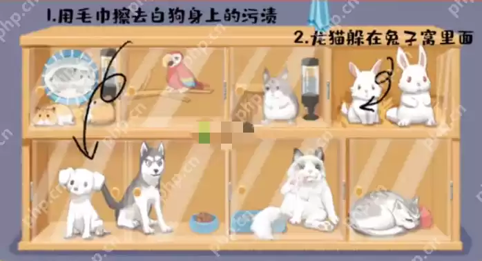 超级收纳馆第3关阿猫阿狗怎么通关-第3关阿猫阿狗通关攻略