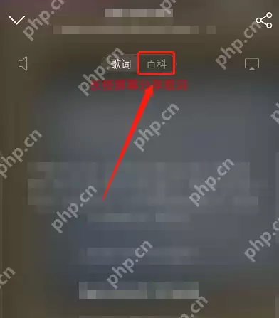 网易云音乐怎么查看音乐百科？网易云音乐查看音乐百科方法