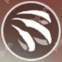 崩坏星穹铁道虎克怎么玩-虎克信息一览