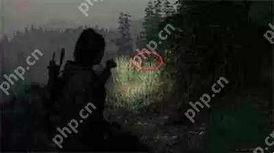 心灵杀手2回归3当地女孩午餐盒在哪