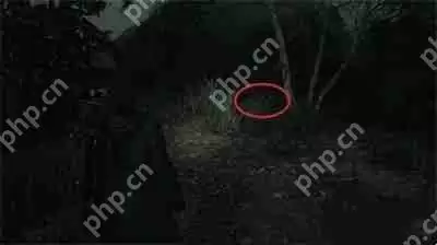 心灵杀手2回归3当地女孩午餐盒在哪