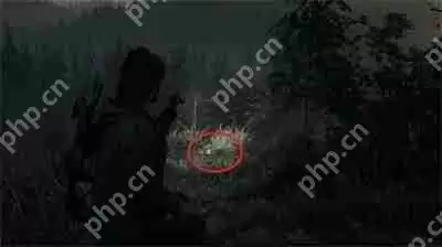 心灵杀手2回归3当地女孩午餐盒在哪