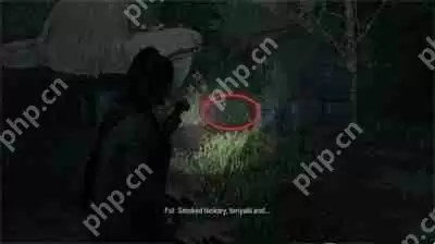 心灵杀手2回归3当地女孩午餐盒在哪