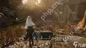 光与影33号远征队拾荒结怎么获取-光与影33号远征队拾荒结获取途径