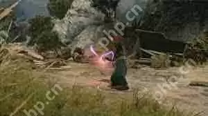 博德之门3风流剑客游荡者如何升级解锁能力-博德之门3风流剑客游荡者升级解锁能力有哪些