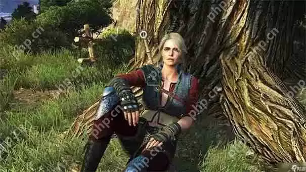 巫师3可以攻略的女角色