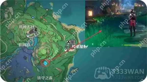 神樱大祓祓行三个位置-任务攻略三个地方