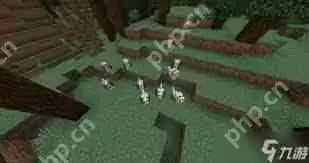 我的世界中如何将狗传送到指定位置-我的世界狗指定位置传送方法