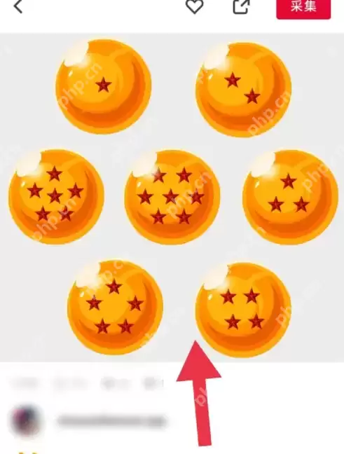 花瓣app怎么下载素材 花瓣app下载图片素材方法