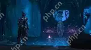 博德之门3咒剑士BD怎么搭配-博德之门3咒剑士BD思路是什么