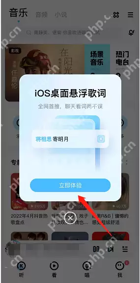 酷狗音乐iOS桌面悬浮歌词怎么设置