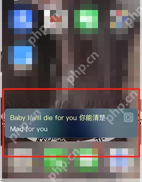 酷狗音乐iOS桌面悬浮歌词怎么设置