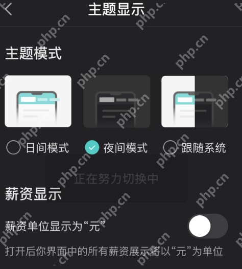 boss直聘夜间模式怎么打开