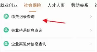 江苏智慧人社怎么查看社保 江苏智慧人社社保查看步骤一览
