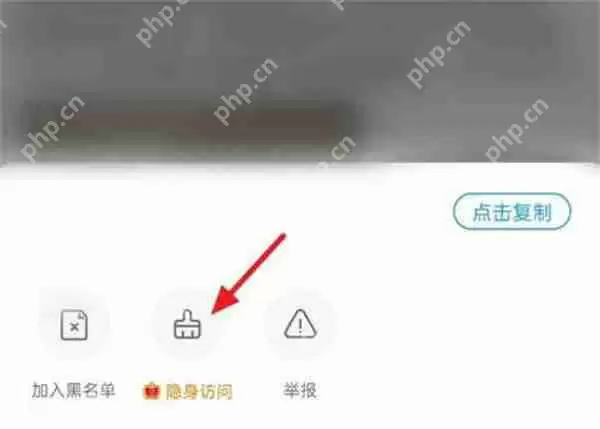 最右怎么开启隐身访问功能