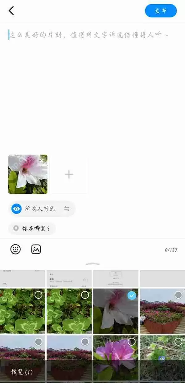 贴贴相册照片怎么发布