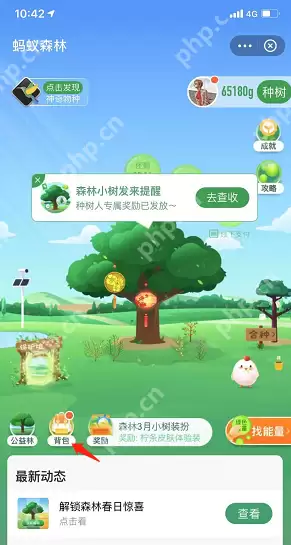 蚂蚁森林背景如何切换