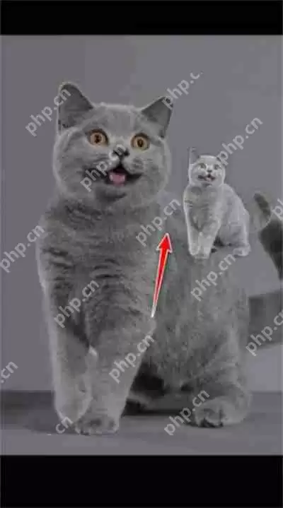 ios16怎么抠图详细图文教程