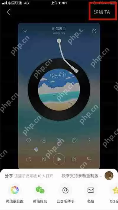 网易云音乐罐子怎么发语音