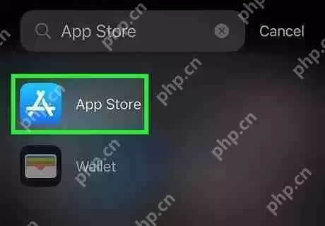 apple store被删除了怎么办 App Store恢复方法